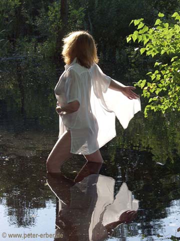 38-Fairy-tale P8033100 