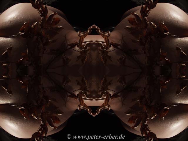 07-P1279266.persianrug