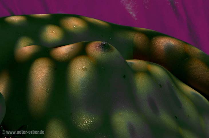 15-SpotlightsP7151803r