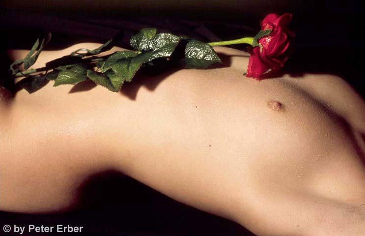 56-Rose Bud 2imgteena0201