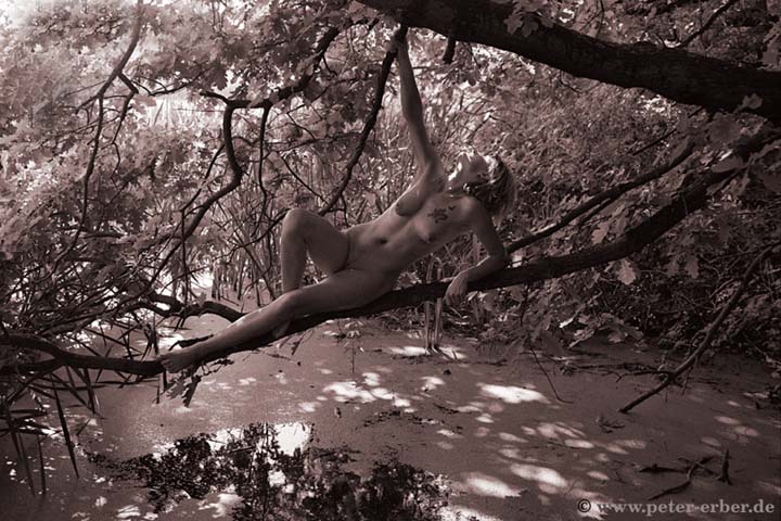 38-Tree-Angel
