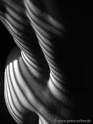26-P7292183-c