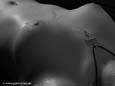 16-PC046113-c